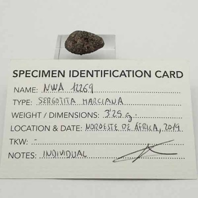 NWA12269,Martian shergottite CA111 NWA12269,Martian shergottite CA111