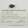 NWA12269,Martian shergottite