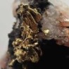 Gold and Quarzt