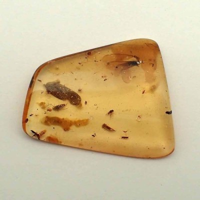 Hormiga voladora + Hoja, Hormiga voladora + Hoja Hormiga voladora + Hoja, Hormiga voladora + Hoja