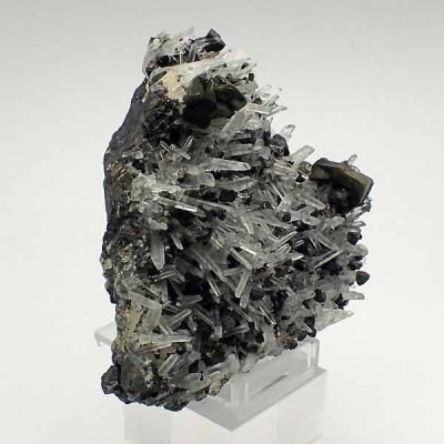 Quarzt, Chalcopyrite Mi076 Quarzt, Chalcopyrite Mi076