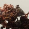 Cobre nativo, Plata