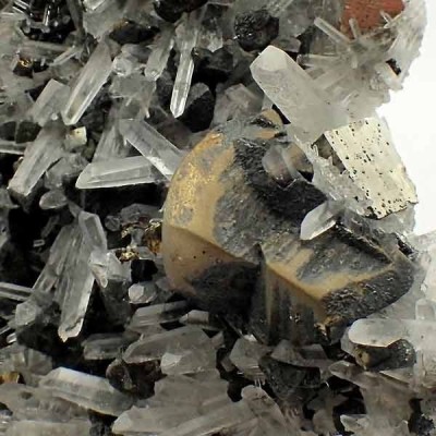Quarzt, Chalcopyrite Mi076 Quarzt, Chalcopyrite Mi076