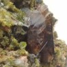 Titanite