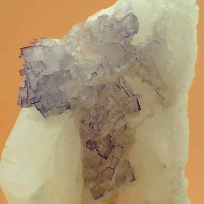 Fluorite on Celestine Mi280 Fluorite on Celestine Mi280