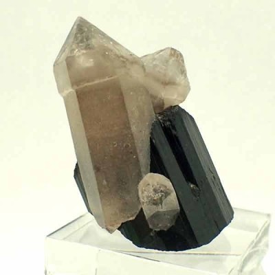 Quartz with Turmaline (Schorl) Mi583 Quartz with Turmaline (Schorl) Mi583