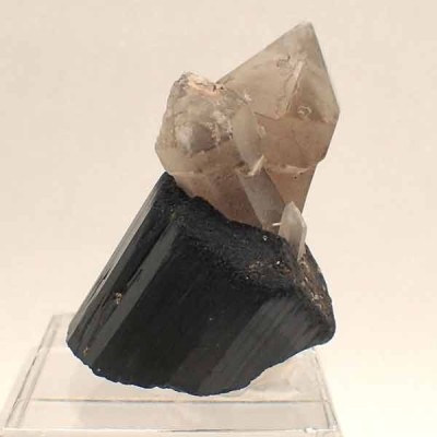 Quartz with Turmaline (Schorl) Mi583 Quartz with Turmaline (Schorl) Mi583