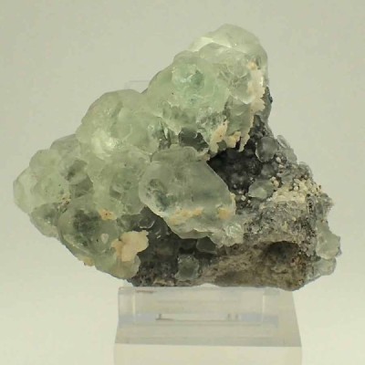 Fluorita,Bournonita, Galena, Fluorita,Bournonita, Galena, Fluorita,Bournonita, Galena Fluorita,Bournonita, Galena, Fluorita,Bournonita, Galena, Fluorita,Bournonita, Galena