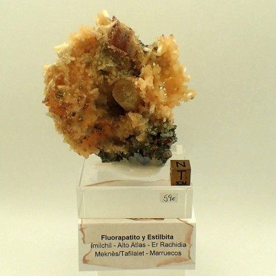 Comprar minerales de colección de África: Fluorapatito, Estilbita - Mi297 Comprar minerales de colección de África: Fluorapatito, Estilbita - Mi297