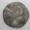 Clypeus ploti (Meurthe et Moselle)