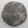  Clypeus ploti (Meurthe et Moselle)