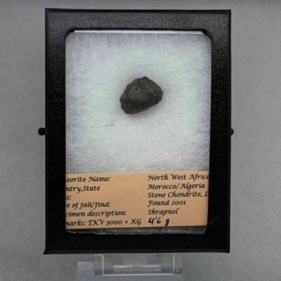 Meteorito NWA 869