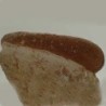  Acrioceras tabarelli