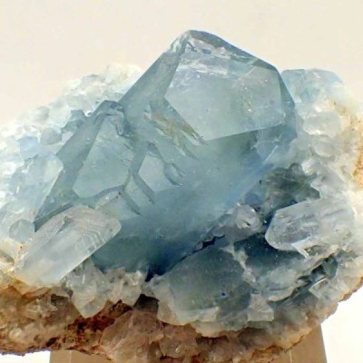 Celestina Celestina