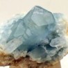 Celestina