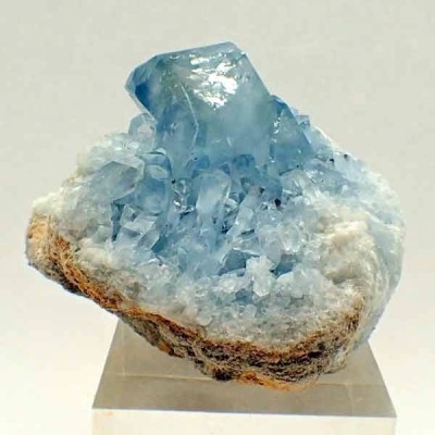 Celestina Celestina