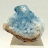  Celestina