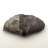 Cyrtospirifer grabaui  W. PAECKEL