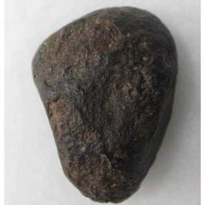 Meteorito NWA 869 Meteorito NWA 869