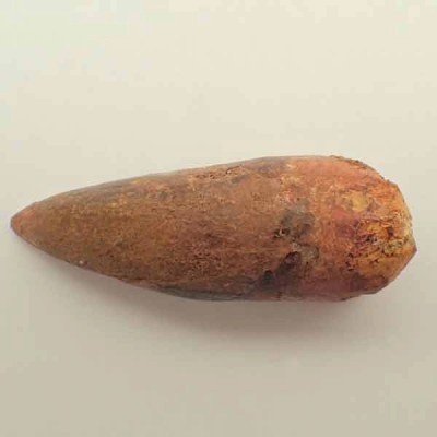 Deltadromeus agilis Deltadromeus agilis