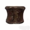  Hadrosaurus sp.