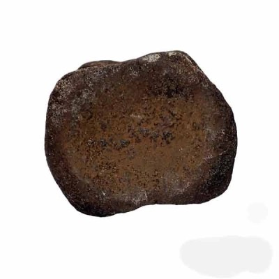 Vertebra Vertebra