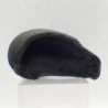 Tymphanic bulla