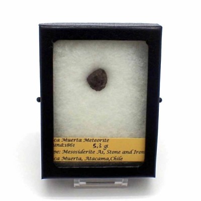 Vaca muerta meteorito Vaca muerta meteorito