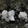 Fluorapofilita