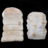  Myliobatis dixoni