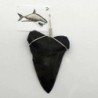 Colgante diente Isurus hastalis