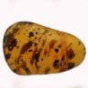 Ámbar con vegetales