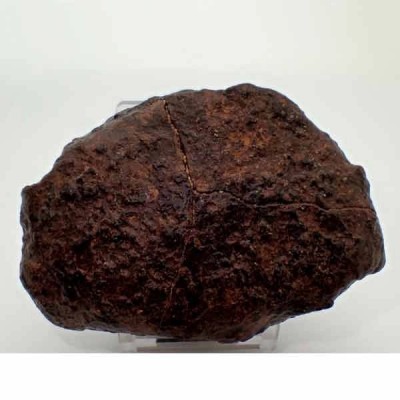 Meteorito NWA 869 Meteorito NWA 869