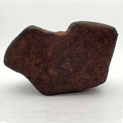 Meteorito NWA 869 Meteorito NWA 869