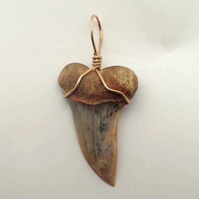 Colgante diente Isurus planus Colgante diente Isurus planus