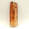  Hymenoptera: Avispa