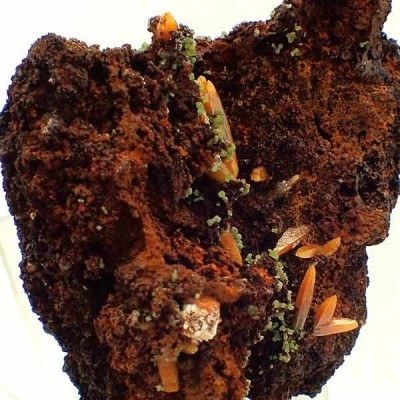  Wulfenita con Mimetita