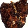  Wulfenita con Mimetita