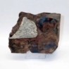 Ghinko cranei
