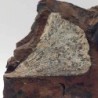  Ghinko cranei