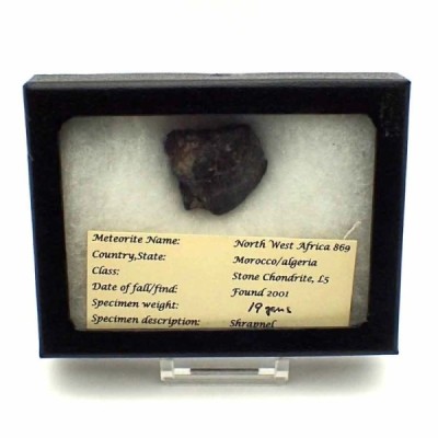 Meteorito NWA 869 Meteorito NWA 869