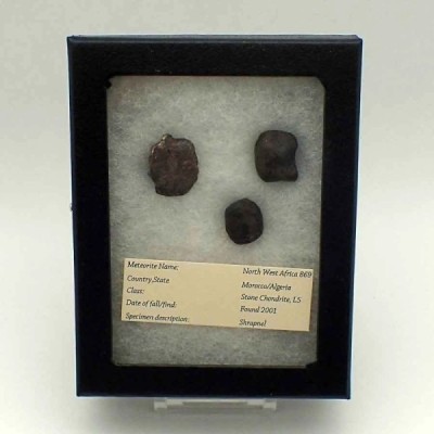 Meteorito NWA 869 Meteorito NWA 869