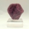 Corindon var. Rubi