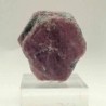  Corindon var. Rubi
