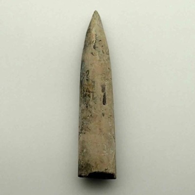 Cylindroteuthis oweni Cylindroteuthis oweni