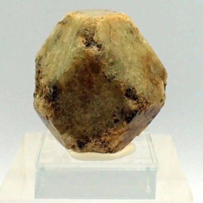 Granate  grosularia