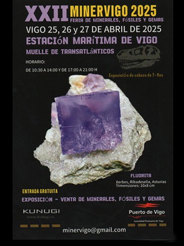 Feria Minervigo 2025 - Minerales, Fósiles y Gemas