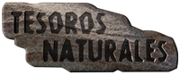 Tesoros Naturales, Nicolás Mesas Sánchez